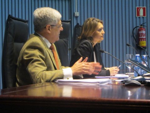  O Estatuto B&aacute;sico do empregado p&uacute;blico: an&aacute;lise e valoraci&oacute;n dos seus resultados pr&aacute;cticos  - Curso Monográfico sobre os retos e perspectivas do emprego público nun contexto de crise